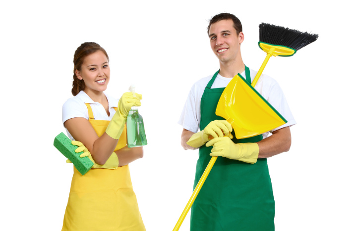 you vs professional cleaner