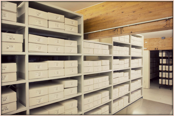 Shelving Systems – Benefits Vs. Cost