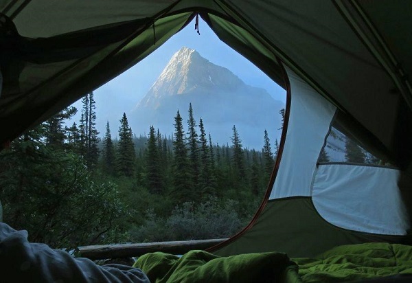 Price vs. Features: What to Consider to Choose the Best Camping Tent
