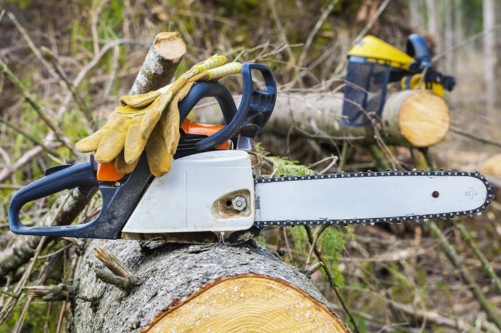 Electric Vs. Gas Powered Chainsaw: Which One to Buy?