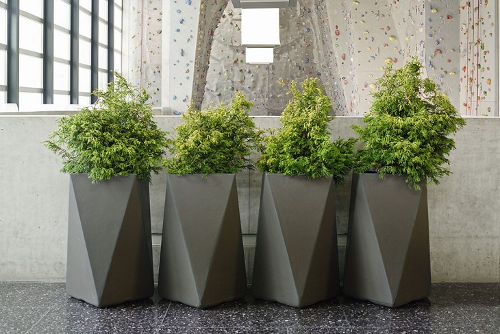 modern pots and planters