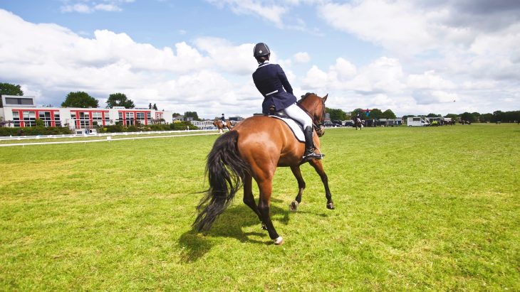 Looking the Part vs Not: Why You Need to Dress Properly for Horse Riding