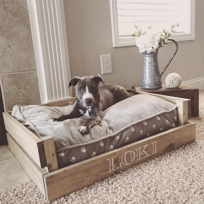 Dog Beds Vs. Dog Crates – Which One Is Best for Your Furry Pal?