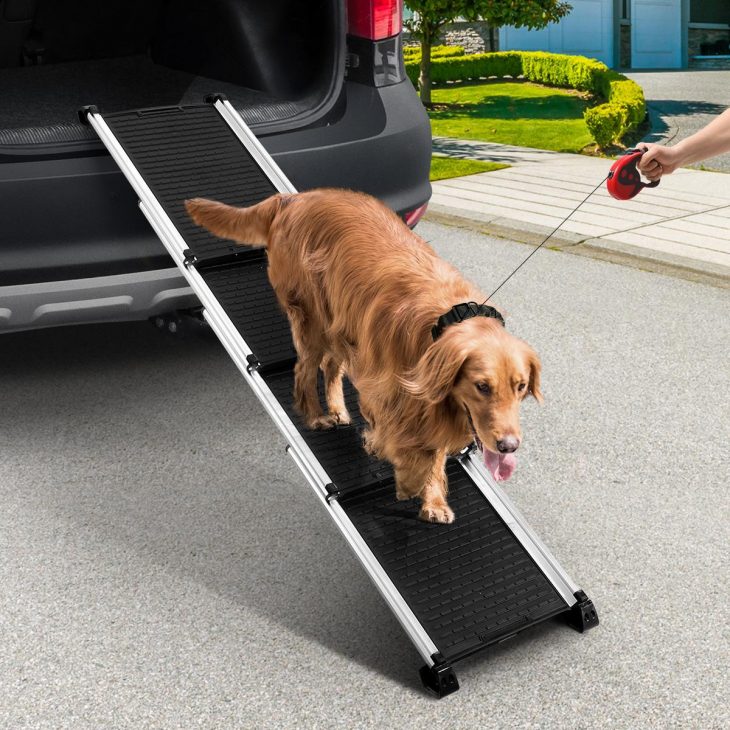 Folding Ramp vs. Dog Step Ladder: What’s Better for Your Pet?