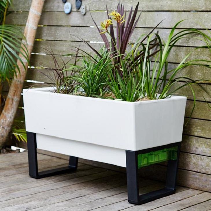 white self-watering pot with plants 
