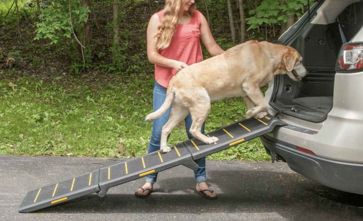 The Lowdown on Dog Ramps for Cars: Help Your Furry Friend with Mobility Issues