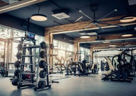 Fitness Training: Elements of a Well-Built Gym Everyone Can Enjoy