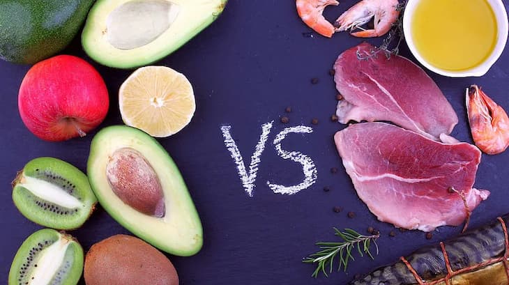 Plant vs Animal Based Proteins: Which One’s Right for You?