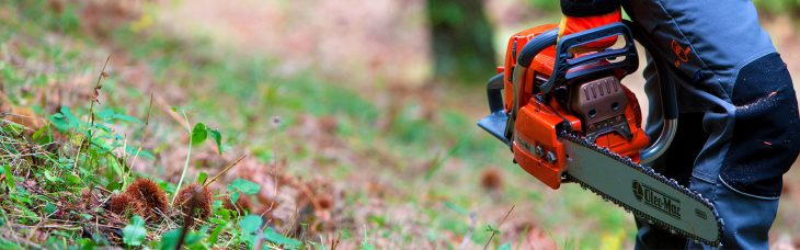 Petrol vs. Electric vs. Battery Operated: How to Choose the Right Chainsaw for the Job
