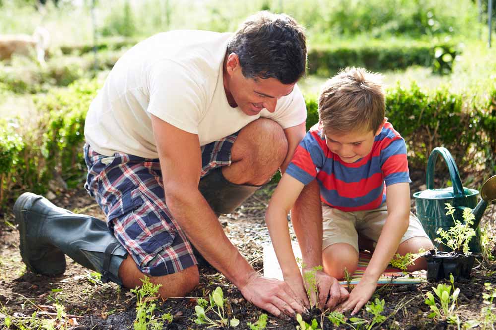 father and son planting seedlings