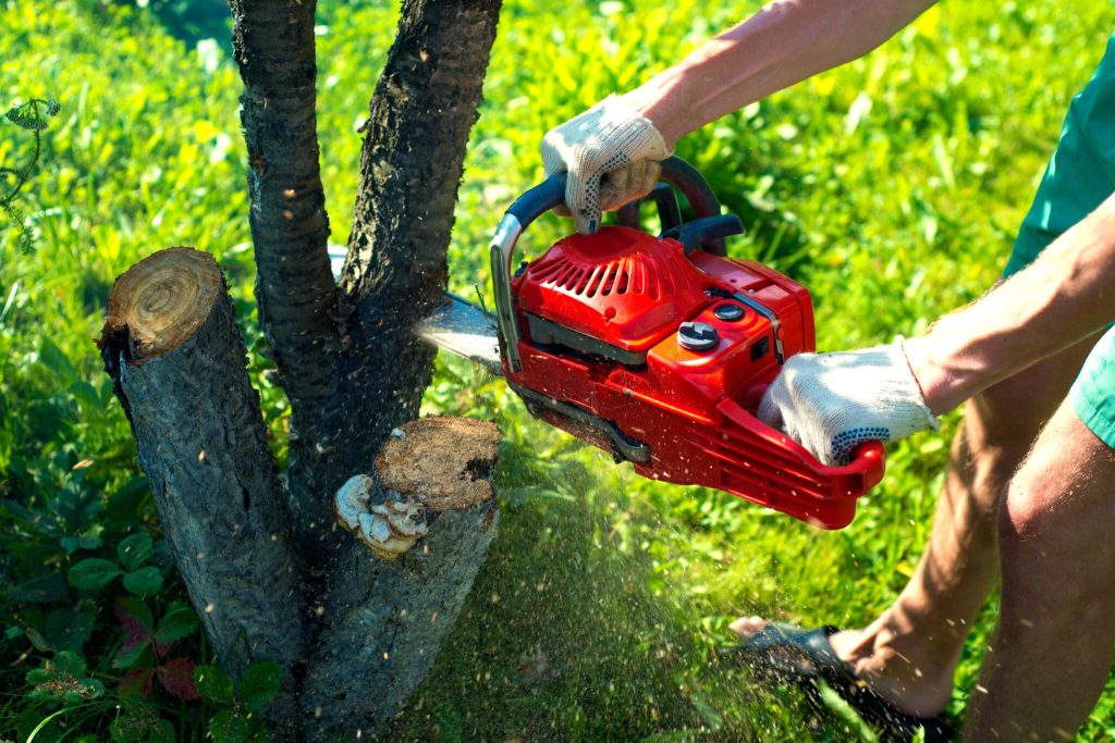 Tree felling can be a dangerous task, especially if you don’t have the proper experience or equipment. While it may be tempting to save money by doing it yourself, it's important to consider the risks involved:
-First and foremost, there's the risk of injury. Cutting down a tree involves the use of chainsaws, ropes, and other heavy equipment, all of which can be dangerous if you don’t use them properly. Without the proper training and safety equipment, you could easily injure yourself or others.
-There's also the risk of property damage. Trees can fall in unexpected directions, and if you're not careful, you could easily damage your own property or that of your neighbours.