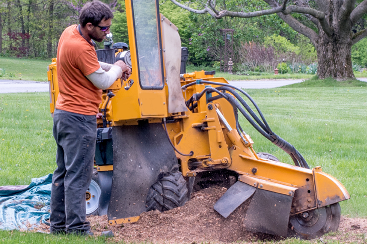 Stump grinding by tree service